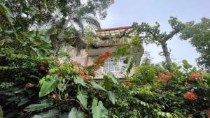 Pekoetrails Hantana Homestay
