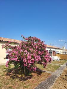 Maisons de vacances Amelixis : photos des chambres