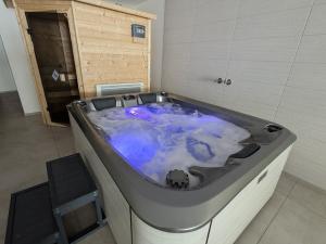 Maisons de vacances Gite Montagne avec Piscine Chauffee, Spa et Sauna - Les Roches - FR-1-589-656 : photos des chambres