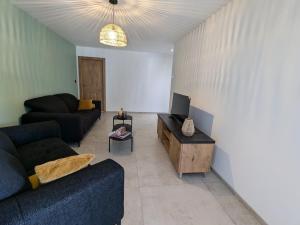 Maisons de vacances Gite Montagne avec Piscine Chauffee, Spa et Sauna - Les Roches - FR-1-589-656 : photos des chambres