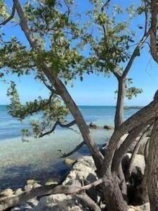 KAWAMA L4 in Key Largo, Beach, Lagoon, Pools, Tennis and Free Bikes