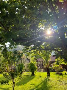 Angha forest view บ้านปลายนา