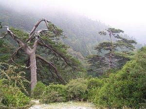 Apartament Dukat Albania