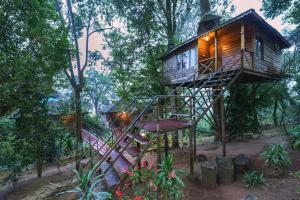 Nature Zone Jungle Resort- Experience the Wilderness & Adventure