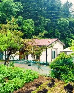 숲속 하얀산장 - 杨平郡