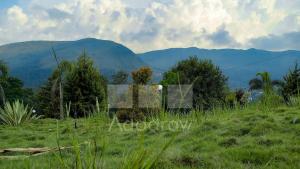 HILLFORT HOMESTAY