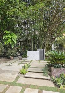 Weyhs Studio #2 by the ocean 100Mbps