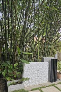 Weyhs Studio #2 by the ocean 100Mbps