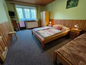 Privat U Milana Hlavná 316 - 兹蒂尔