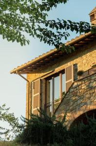 Poggio Belvedere - Countryside Villa
