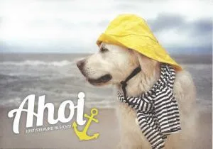 Ferienhaus am Waldrand Biendorf bei Kühlungsborn - Jörnstorf