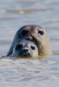 Maisons de vacances le chant de la riviere : photos des chambres