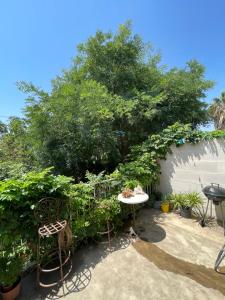 Appartements Les jardins de Veronique Marie : photos des chambres