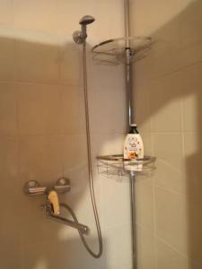 Apartment withthe basic amenities