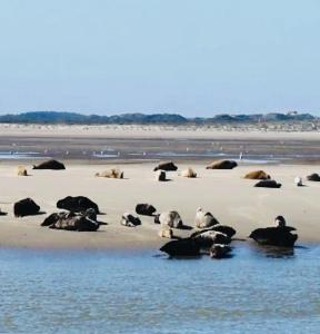 Maisons de vacances le chant de la riviere : photos des chambres