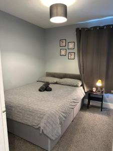 Cosy 2 BEDROOMS Apartment