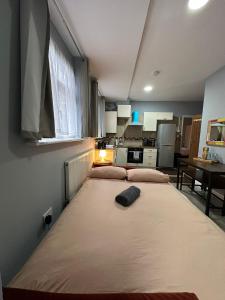 Central London - ground floor 2 bedrooms apartment