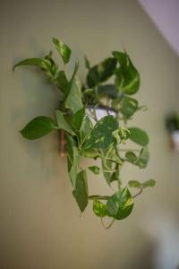 Tyylikkäästi Retroa ja modernia Tampere Hervanta Atomikatu 5