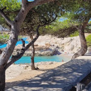 B&B / Chambres d'hotes Les Cactus Bleus : photos des chambres