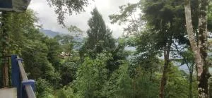 Melsang Homestay - Pedong