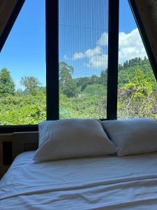 Cottage Lemons In Gonio