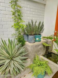 Homestay 4 phòng ngủ Vintage - Bãi Cháy - Hạ Long