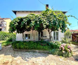 Studio Ugrin with Terrace