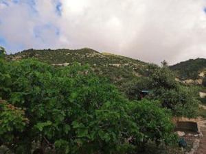 Glamping in the middle of nowhere