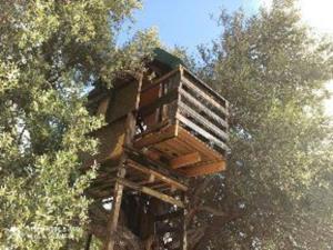 Glamping in the middle of nowhere