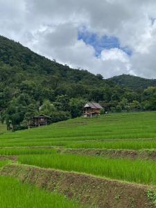 บ้านพักชิปู ป่าบงเปียง