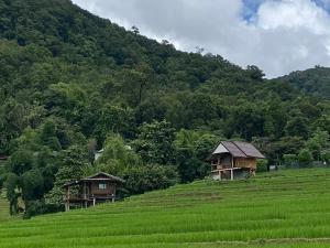 บ้านพักชิปู ป่าบงเปียง