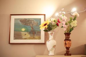 Merlos Studio Flat Ospedale S Orsola