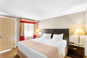 Standard King Room - Non-Smoking  room in Rodeway Inn