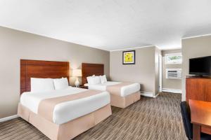 Standard Queen Room with Two Queen Beds - Non-Smoking room in Rodeway Inn