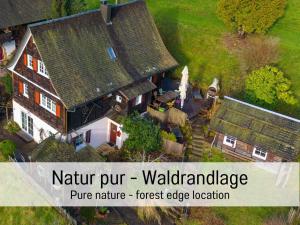 Waldhaus: Sauna | Kamin