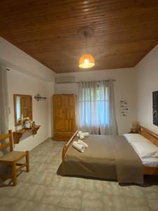 Zirganos Horton Pelion Apartment 2