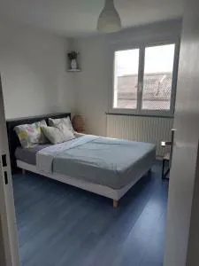 Chambre dans un charmant T3 - 沃昂夫兰