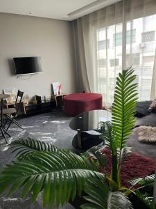 Studio luxueux en pleine centre Casablanca - Hébergements non classés à Casablanca