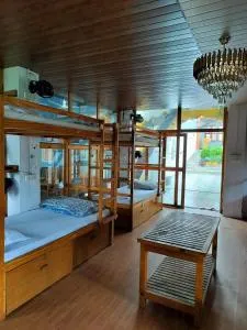 Jungle by sturmfrei Pushkar - Pushkar