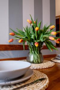 Apartamenty - Krynica Morska Gdańska