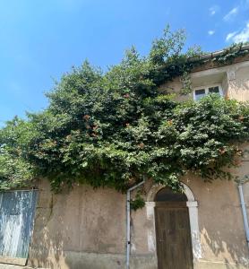 Appartements Les jardins de Veronique Marie : photos des chambres
