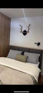Apartman Bela Reka Ana C011, Kopaonik, Brzeće