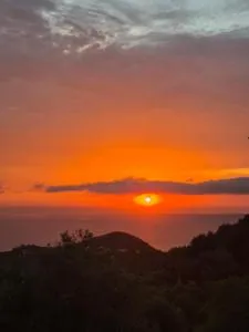 Dolce&casanova - 农扎