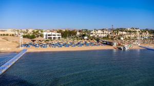 Ivy Cyrene Sharm Resort Adults Friendly Plus 13