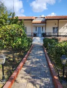 Walnuthouse - Dhíkella