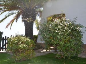 FPO CLA01 fantastic villa sul porto 6 posti letto