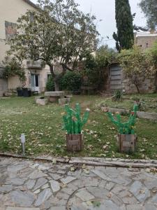 Casa turistica platja daro 2