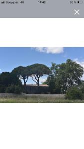 Maisons de vacances Maison de campagne avec piscine : photos des chambres