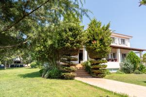 Beautiful Summer Villa in Chalkoutsi