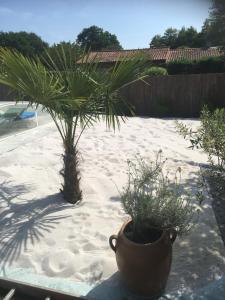 Villas Les Tamaris d-Audenge : photos des chambres